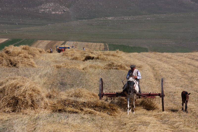 Ardahan yolları