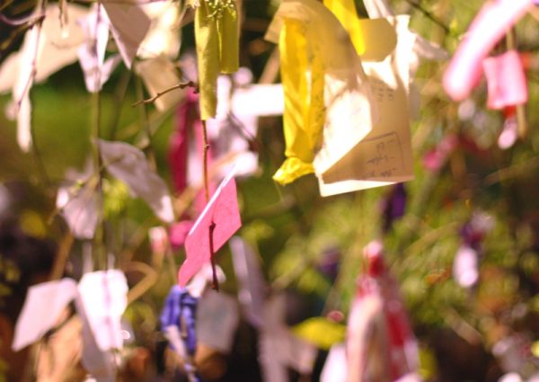 hıdırellez dilek ağacı