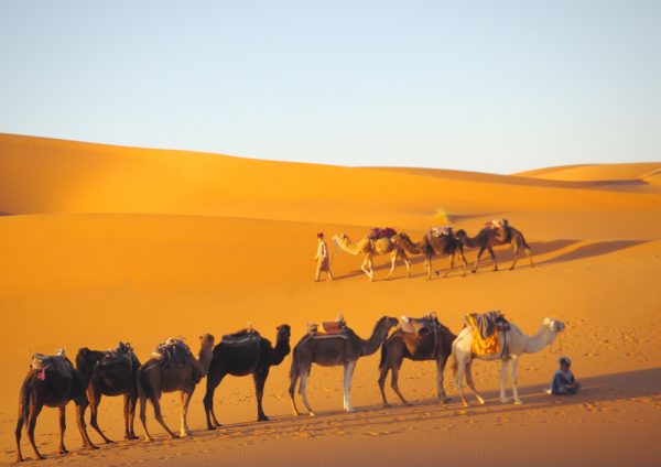 Sahara Çölü'nde gün batımı