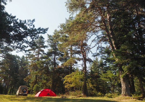 Araç Gölcük Yaylası kampı