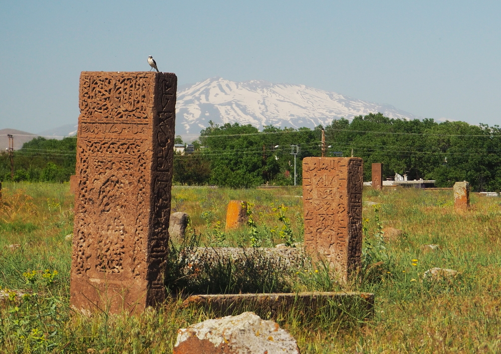 Ahlat Selçuklu Meydan Mezarlığı ve Süphan Dağı manzarası