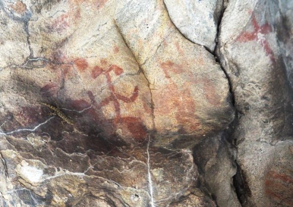 8000 yıl öncesinin aşı boyalı kaya resimleri üzerinde bugün gezinen bir kertenkele