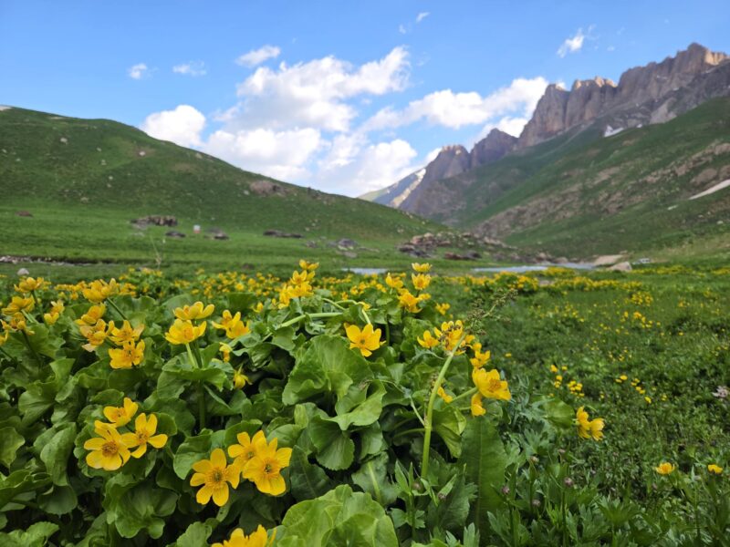 Cilo Dağları ve Mergan Yaylası